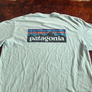 Patagonia Short Sleeve Tee in Light Mint Green